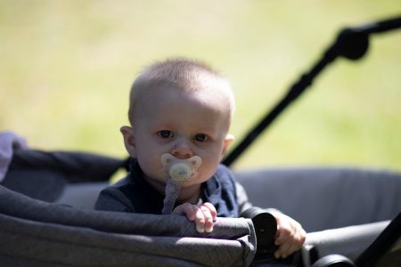 Klapvogn på en sti i en park